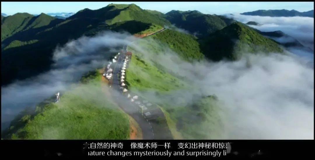 954开头老是打过来
